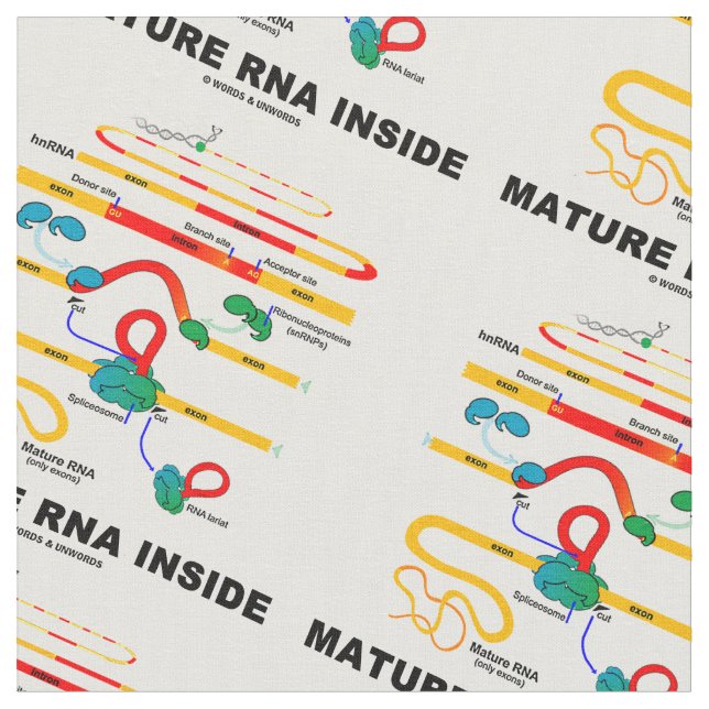 Mogna den inre biologihumorn för RNA Tyg (Närbild)