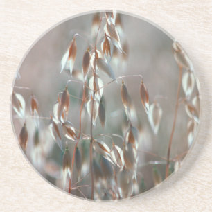 Mogna havre (Avena Sativa) närbild. Ceres, Boland Underlägg