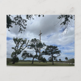 Mogna Live Oaks Vykort