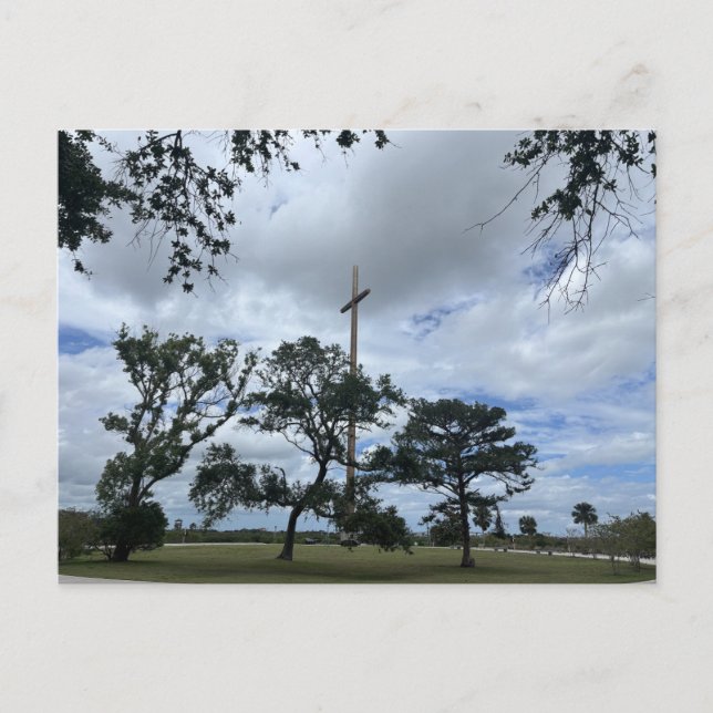 Mogna Live Oaks Vykort (Framsida)