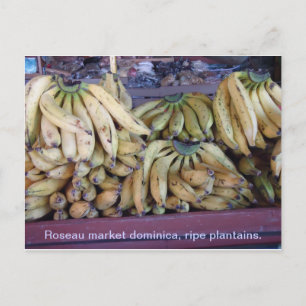 mogna plantains. vykort
