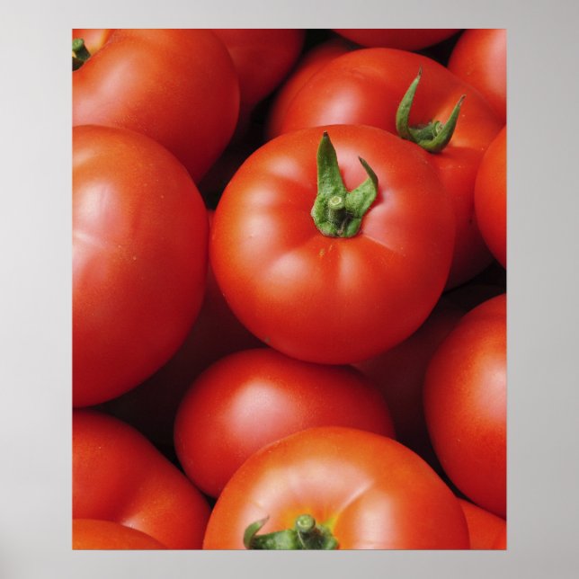 Mogna tomater - Ljus röda, färska Poster (Framsidan)