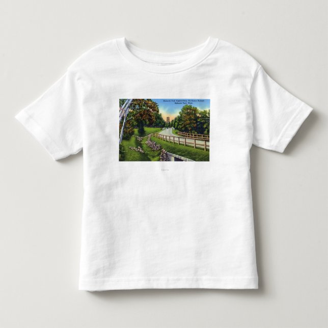 Mohawkslinga som att närma sig det Shelburne Tee Shirt (Framsida)
