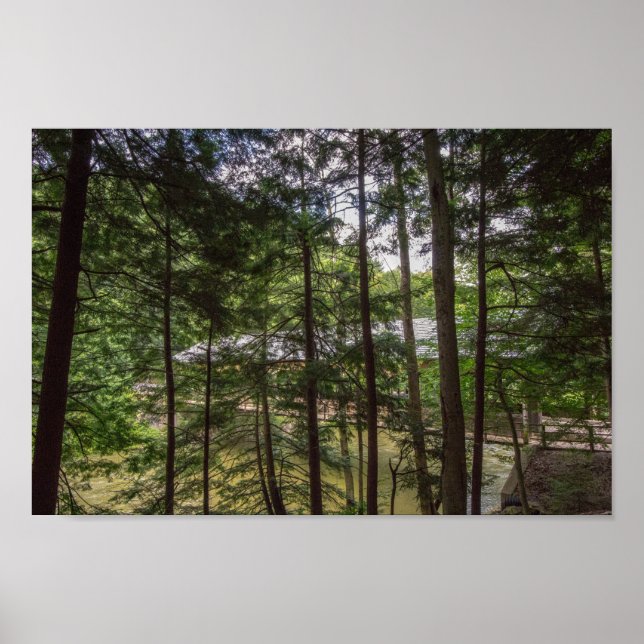 Mohican State Park's Covered Bridge, Ohio. Poster (Framsidan)