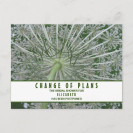 Möhippa Förändrade Planer Rödkvist Vykort