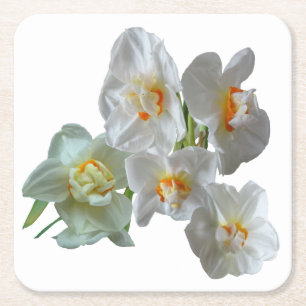 Möhippa Krona Daffodils Close Papper Underlägg Kvadrat