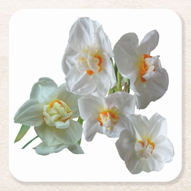 Möhippa Krona Daffodils Close Papper Underlägg Kvadrat (Framsidan)