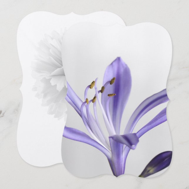 Möhippa Party Destiny's Destiny Inbjudningar (Fram/baksida)