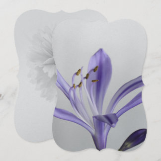 Möhippa Party Destiny's Destiny Inbjudningar