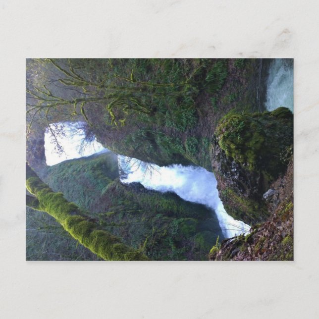 Möhippa Veil Falls, Oregon Vykort (Framsida)