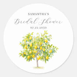 Möhippan Citrus Watercolor Runt Klistermärke