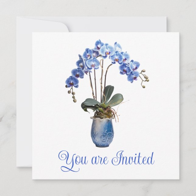 Möhippans inbjudan (Framsida)