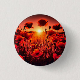 Mohn im Gegenlicht Knapp