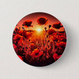 Mohn im Gegenlicht Knapp