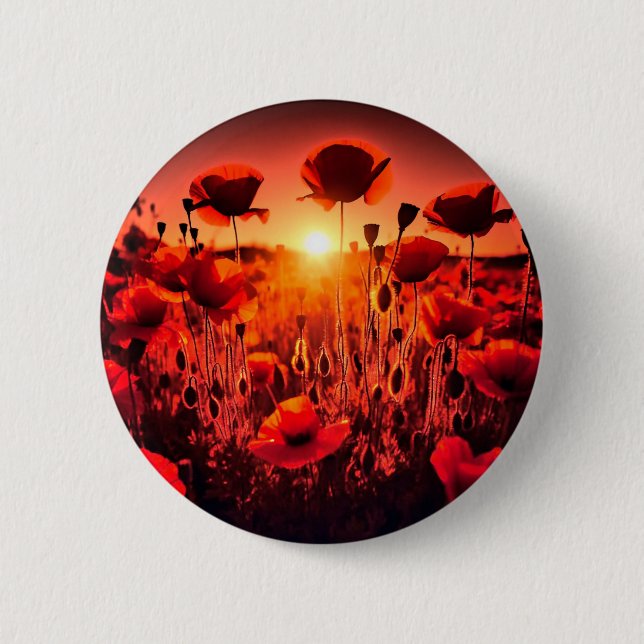 Mohn im Gegenlicht Knapp (Framsida)