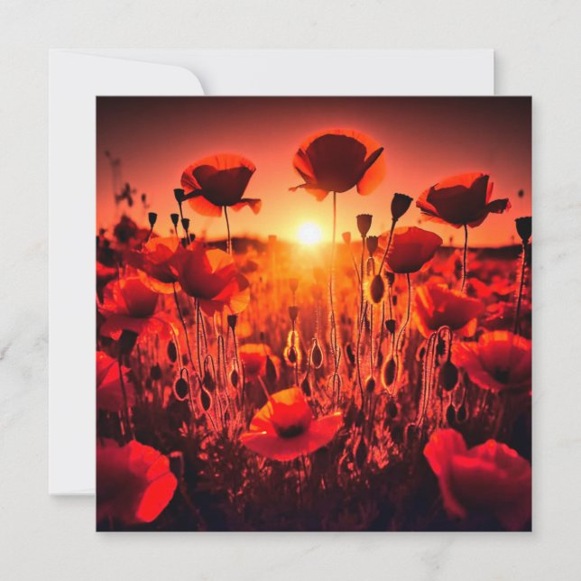 Mohn im Gegenlicht Kort (Framsida)