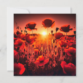 Mohn im Gegenlicht Kort