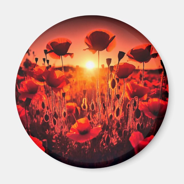 Mohn im Gegenlicht Magnet (Framsidan)