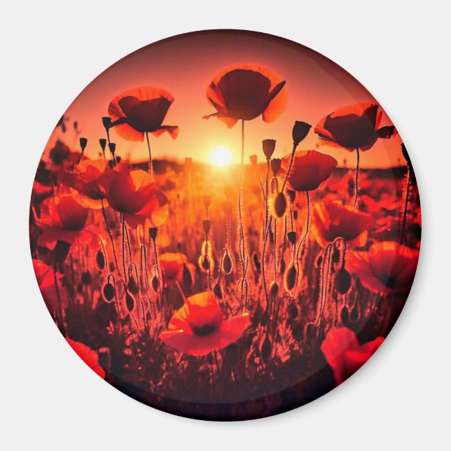 Mohn im Gegenlicht Magnet (Framsidan)