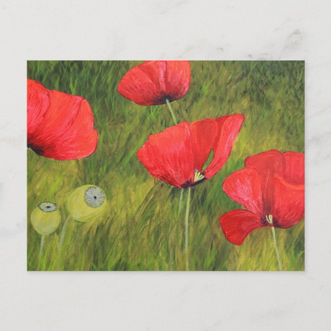 Mohnfeld Vykort (Framsida)