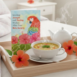 Mohs Surgery Healing Scarlet Macaws, Hibiscus Kort