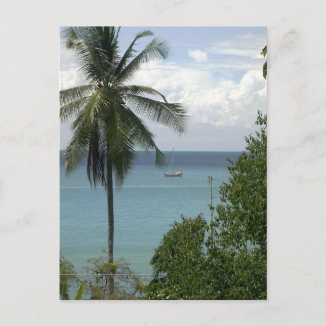 Moira at anchor, Bahia Drake, Costa Rica Vykort (Framsida)