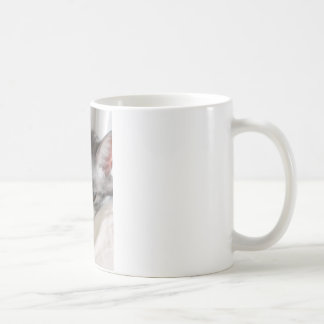 Moira (katt) Foto Kaffemugg