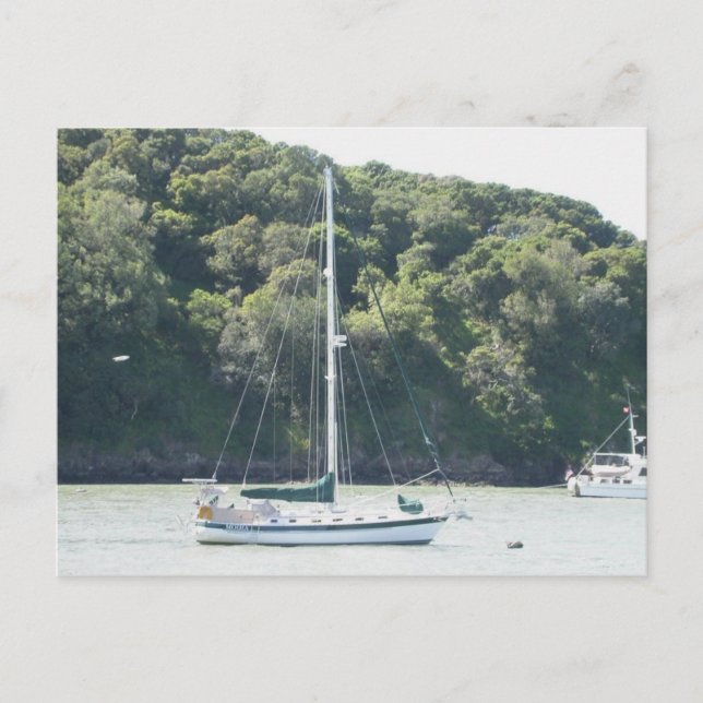 Moira on mooring, Angel Island, San Francisco Vykort (Framsida)