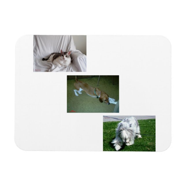 Moira, Riley och Tyler Photo Collage Magnet (Horisontell)