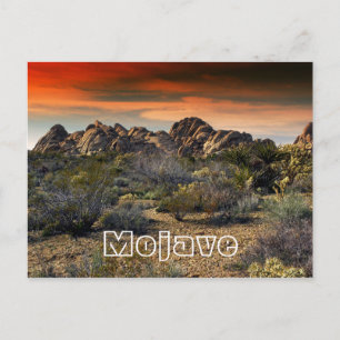 Mojave Desert, Kalifornien Vykort