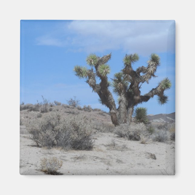 Mojave Desert Magnet (Framsidan)