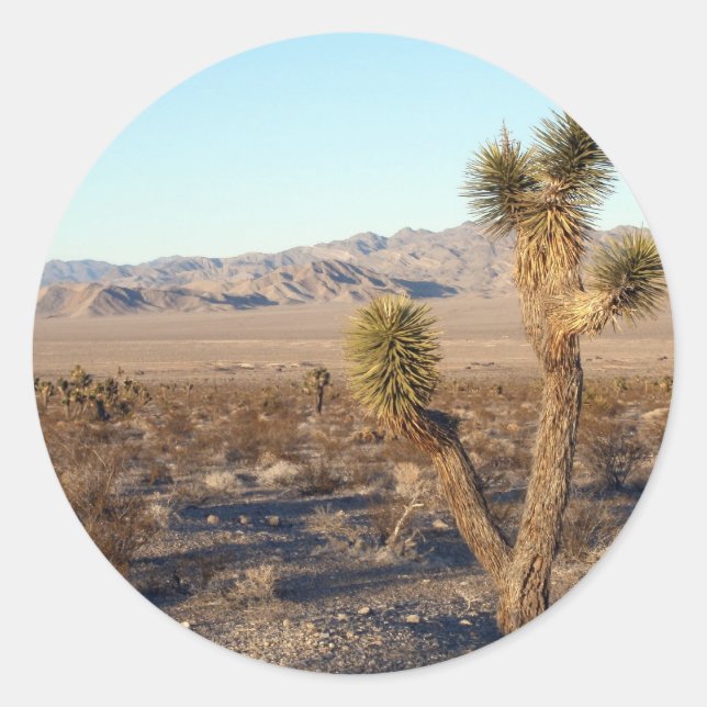 Mojave Desert-scen 01 Runt Klistermärke (Framsida)