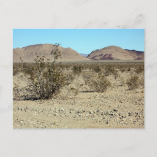 Mojave Desert-scen 02 Vykort