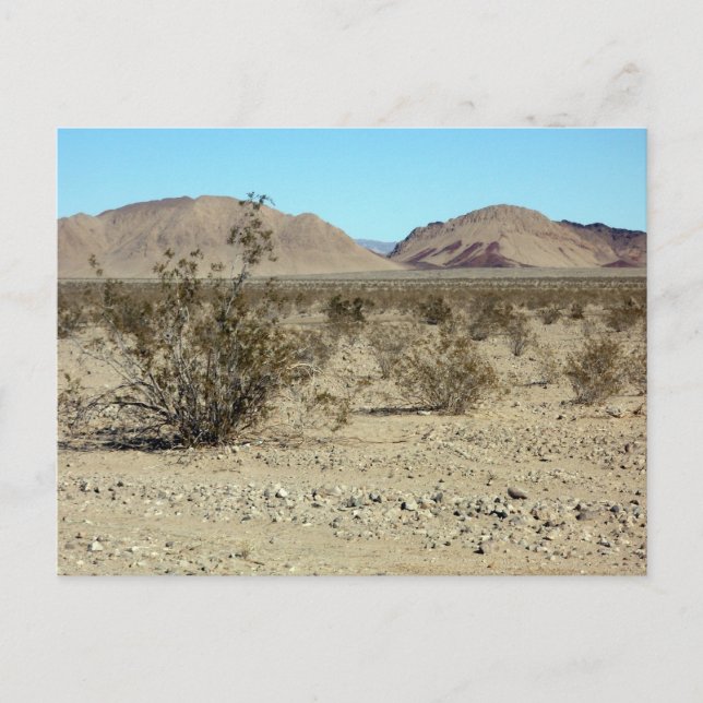 Mojave Desert-scen 02 Vykort (Framsida)