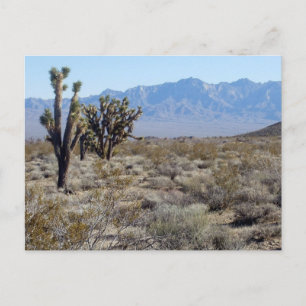 Mojave Desert-scen 03 Vykort