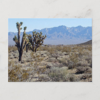 Mojave Desert-scen 03 Vykort