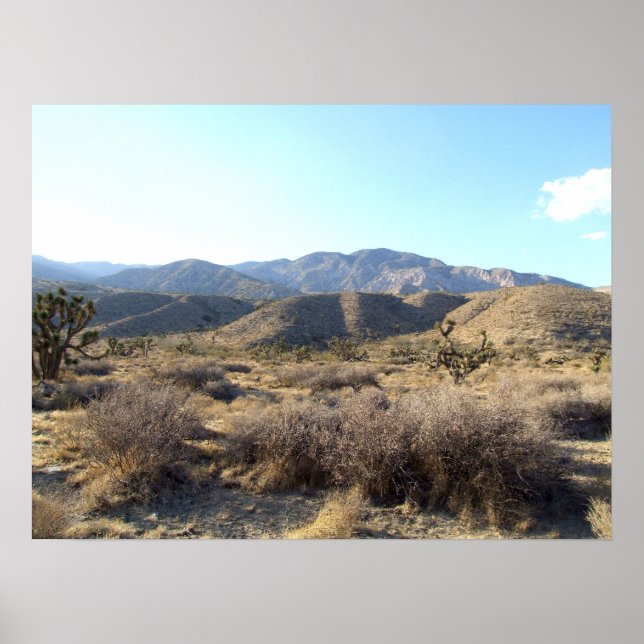 Mojave Desert-scen 05 Poster (Framsidan)