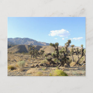 Mojave Desert-scen 06 Vykort