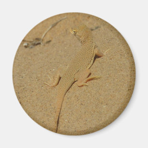 Mojave Fringe Toed Lizard Magnet