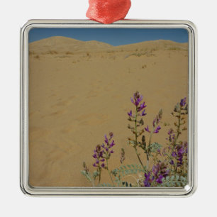 Mojave Indigo Bush och Kelso Dunes Julgransprydnad Metall