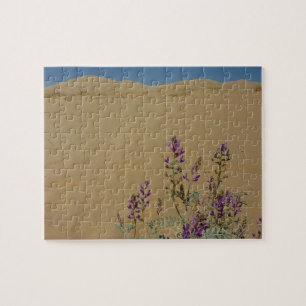 Mojave Indigo Bush och Kelso Dunes Pussel