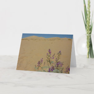 Mojave Indigo Buske och Kelso Dunes Kort