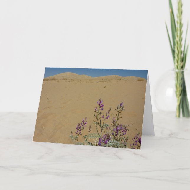 Mojave Indigo Buske och Kelso Dunes Kort (Framsida)