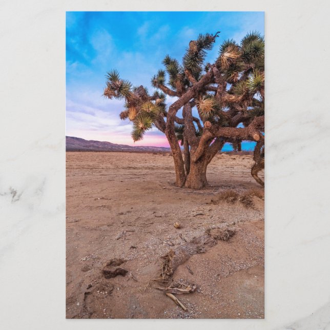 Mojave Joshua Träd (Framsida)