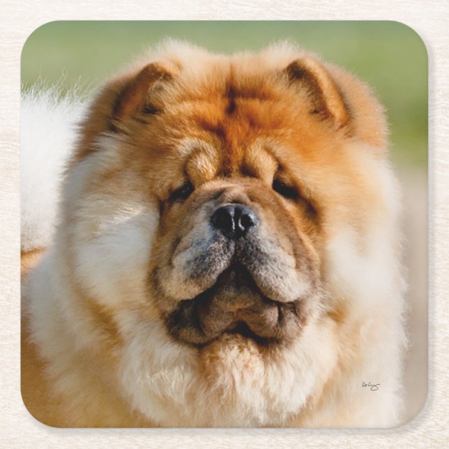 Mojo Chow Underlägg (Framsidan)