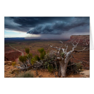 Moki Dugway Thunderstorm - Södra Utah Hälsningskort