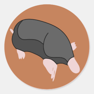 MOL1 RUNT KLISTERMÄRKE
