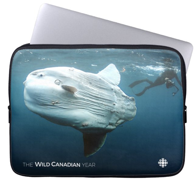 Mola Mola Laptop Sleeve (Framsidan)