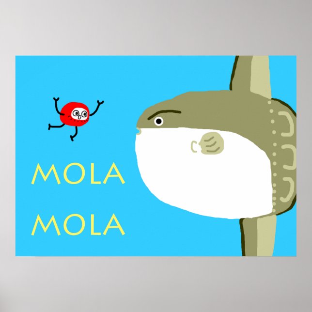 MOLA MOLA POSTER (Framsidan)
