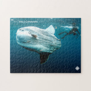 Mola Mola Pussel